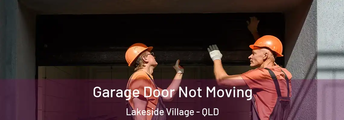 Garage Door Not Moving Lakeside Village - QLD