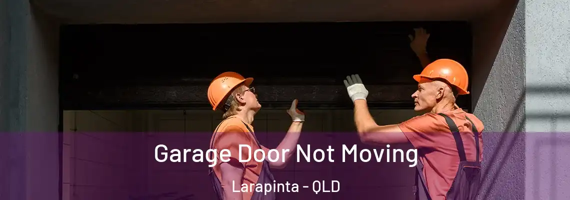 Garage Door Not Moving Larapinta - QLD