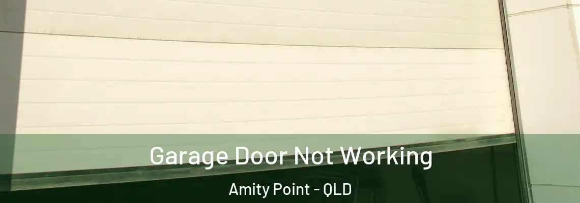 Garage Door Not Working Amity Point - QLD