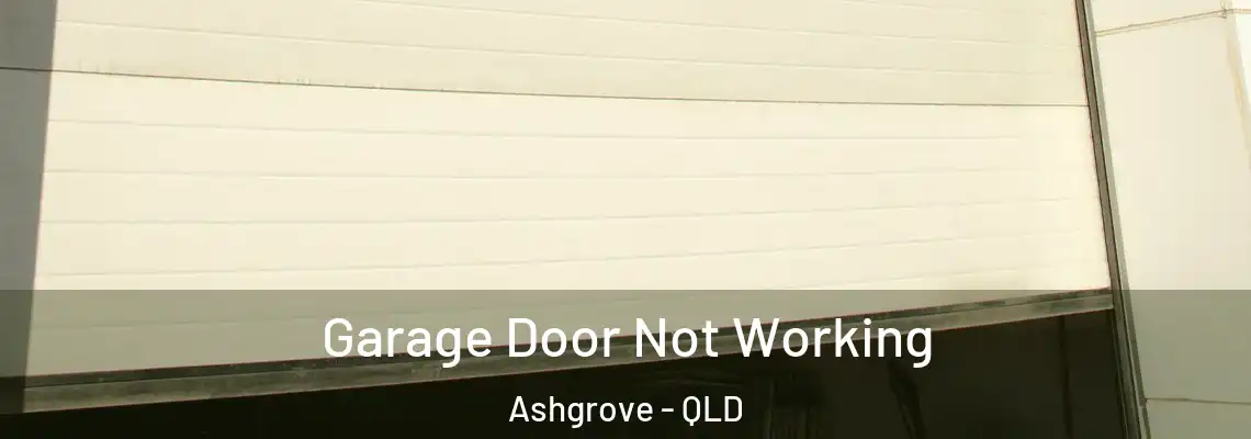  Garage Door Not Working Ashgrove - QLD