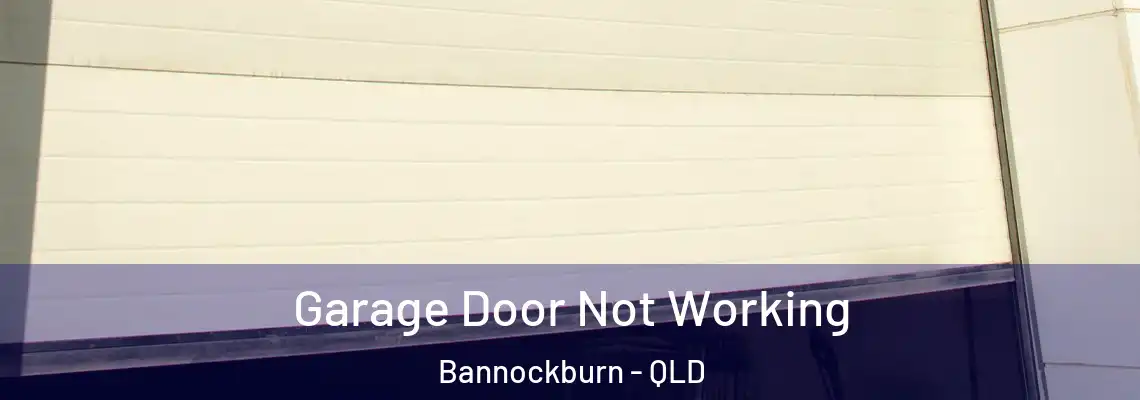  Garage Door Not Working Bannockburn - QLD