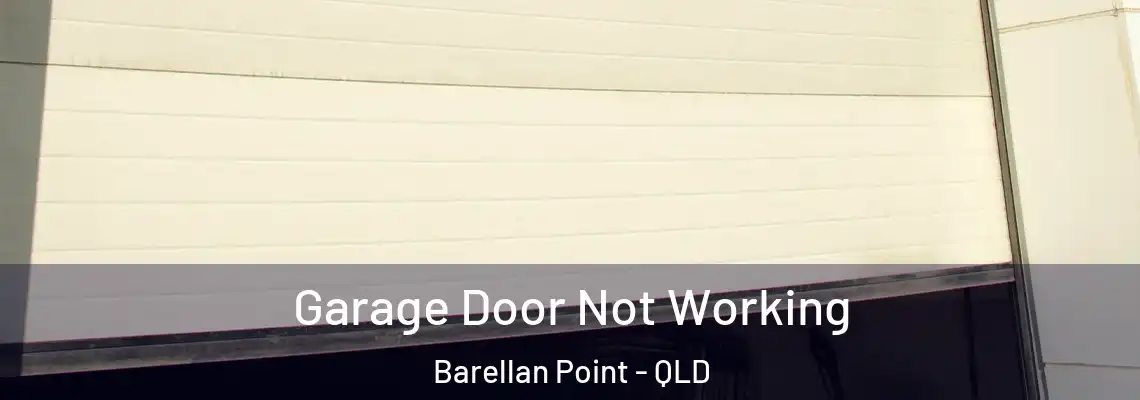 Garage Door Not Working Barellan Point - QLD