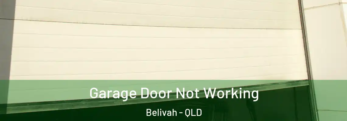 Garage Door Not Working Belivah - QLD