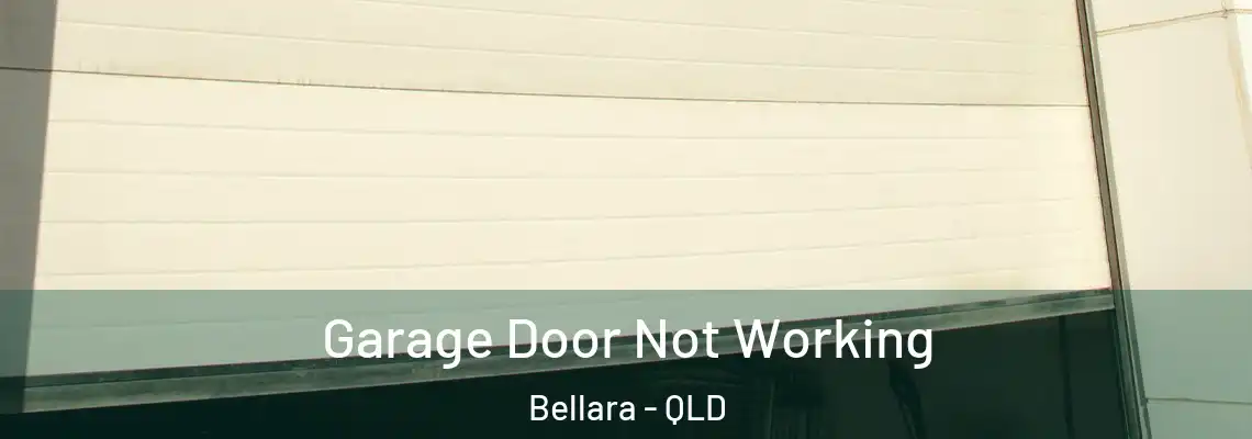  Garage Door Not Working Bellara - QLD