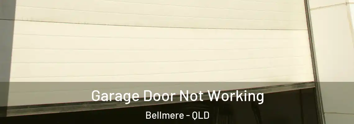 Garage Door Not Working Bellmere - QLD