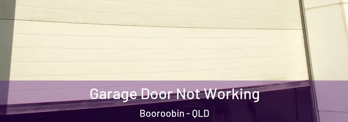  Garage Door Not Working Booroobin - QLD