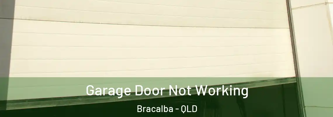  Garage Door Not Working Bracalba - QLD