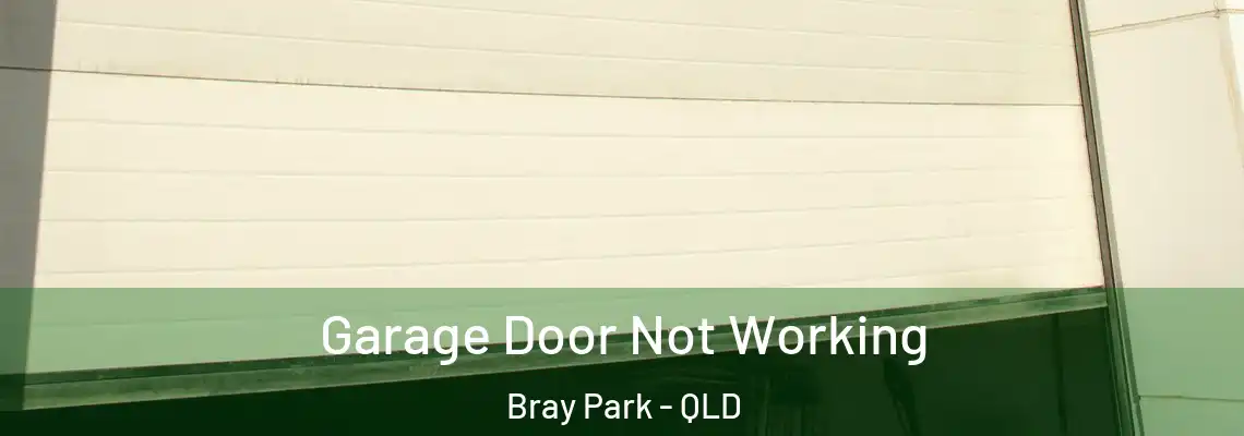 Garage Door Not Working Bray Park - QLD