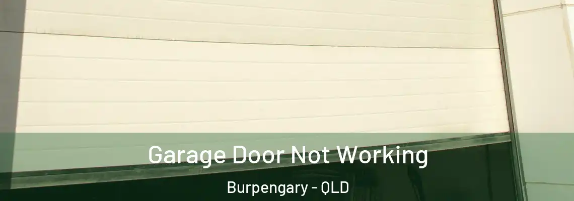  Garage Door Not Working Burpengary - QLD