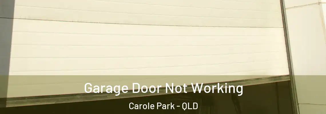 Garage Door Not Working Carole Park - QLD