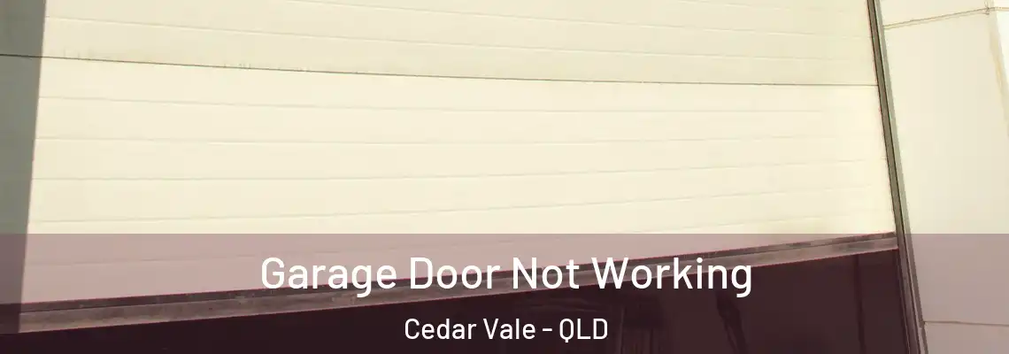 Garage Door Not Working Cedar Vale - QLD