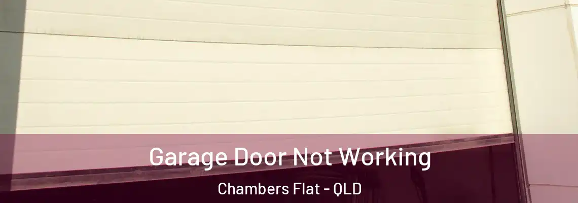 Garage Door Not Working Chambers Flat - QLD
