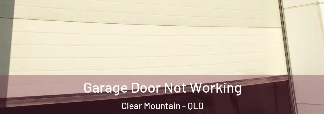  Garage Door Not Working Clear Mountain - QLD