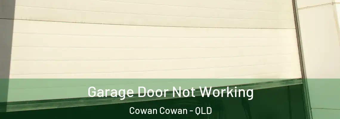  Garage Door Not Working Cowan Cowan - QLD
