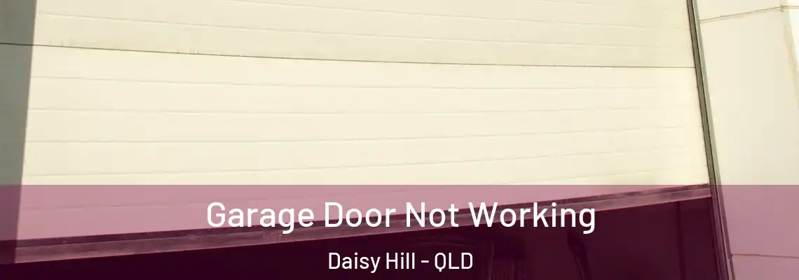 Garage Door Not Working Daisy Hill - QLD