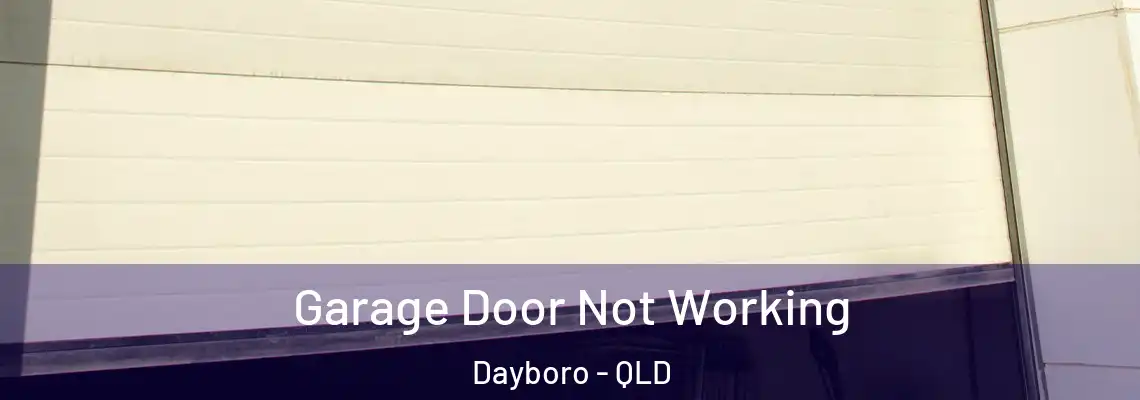  Garage Door Not Working Dayboro - QLD
