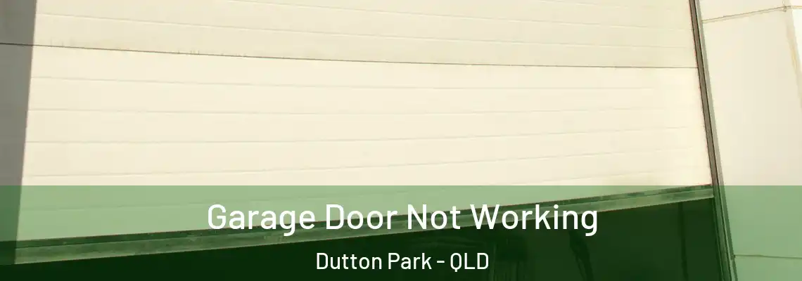 Garage Door Not Working Dutton Park - QLD