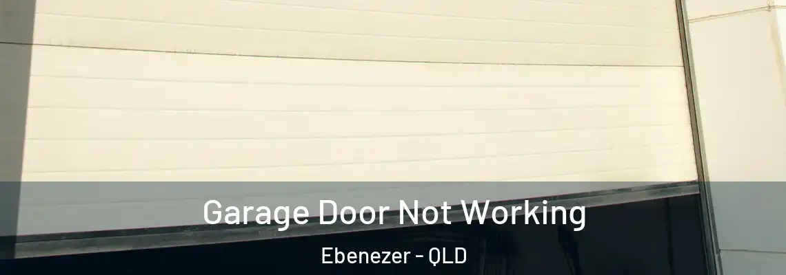  Garage Door Not Working Ebenezer - QLD