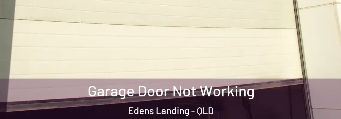  Garage Door Not Working Edens Landing - QLD