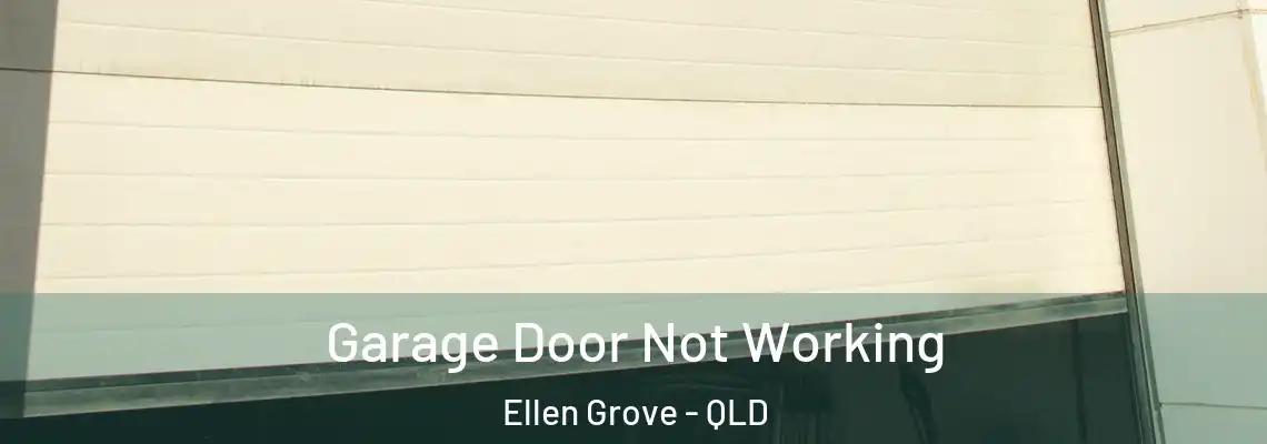  Garage Door Not Working Ellen Grove - QLD