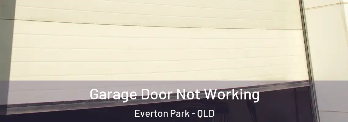  Garage Door Not Working Everton Park - QLD