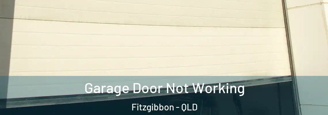 Garage Door Not Working Fitzgibbon - QLD