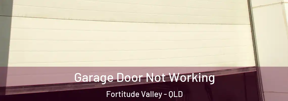 Garage Door Not Working Fortitude Valley - QLD
