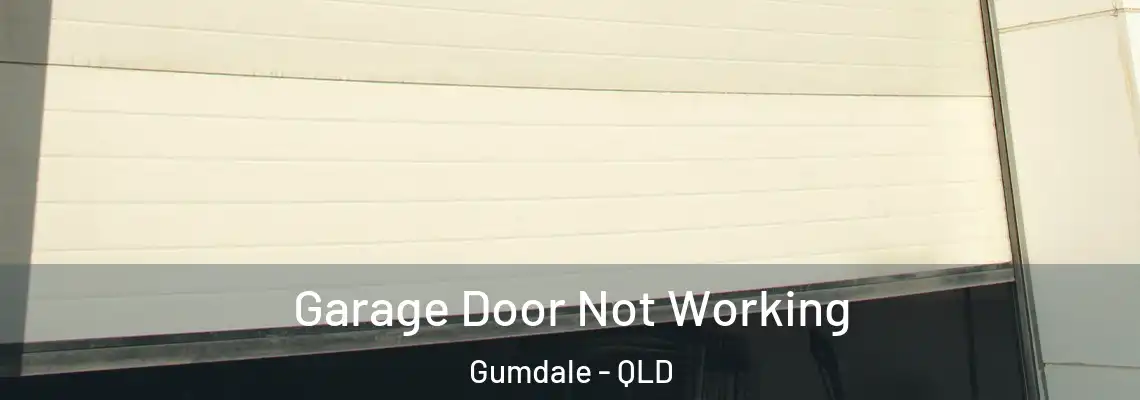 Garage Door Not Working Gumdale - QLD