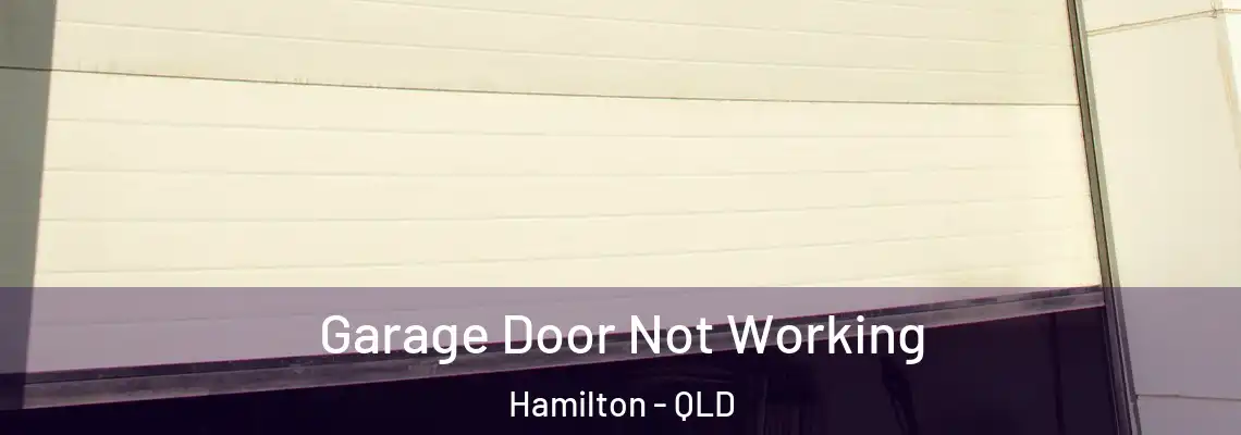  Garage Door Not Working Hamilton - QLD