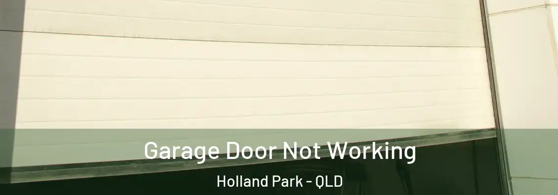 Garage Door Not Working Holland Park - QLD