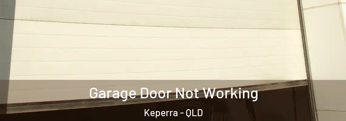 Garage Door Not Working Keperra - QLD