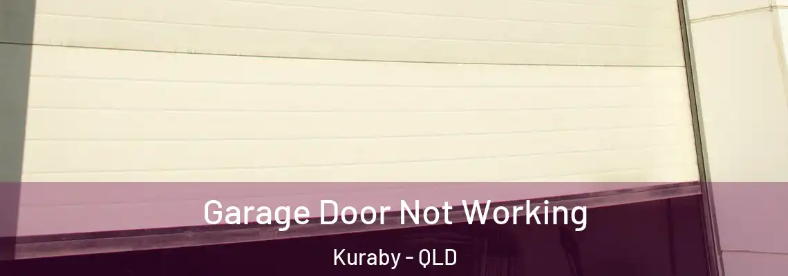 Garage Door Not Working Kuraby - QLD