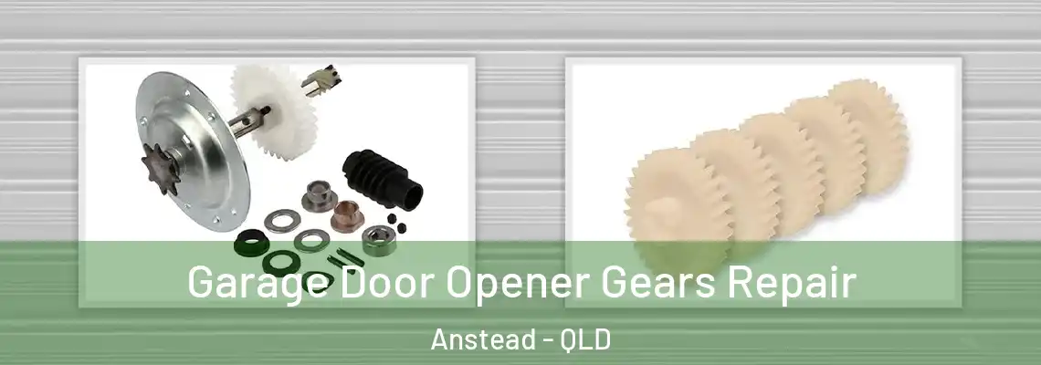 Garage Door Opener Gears Repair Anstead - QLD