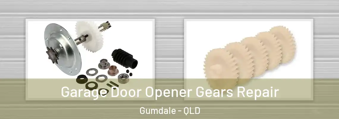 Garage Door Opener Gears Repair Gumdale - QLD