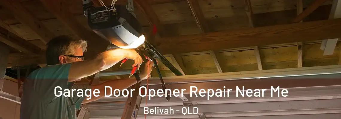 Garage Door Opener Repair Near Me Belivah - QLD