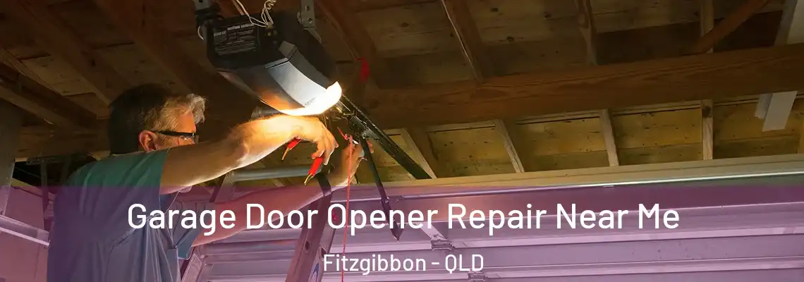  Garage Door Opener Repair Near Me Fitzgibbon - QLD