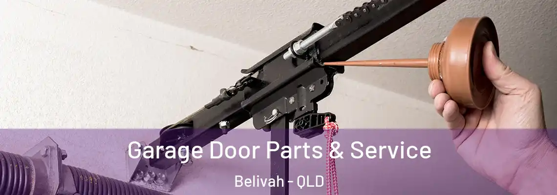 Garage Door Parts & Service Belivah - QLD
