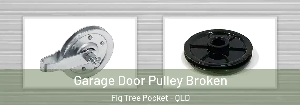 Garage Door Pulley Broken Fig Tree Pocket - QLD
