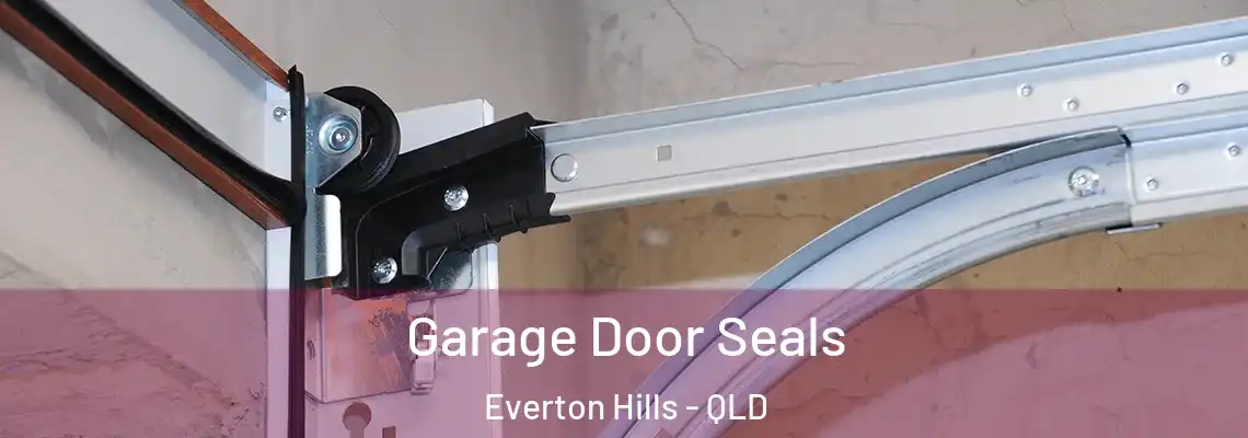 Garage Door Seals Everton Hills - QLD