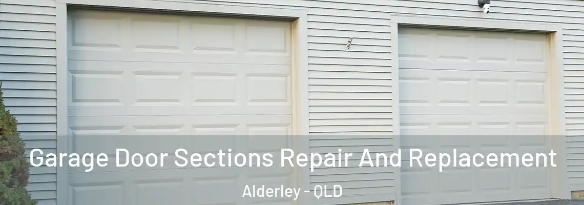 Garage Door Sections Repair And Replacement Alderley - QLD