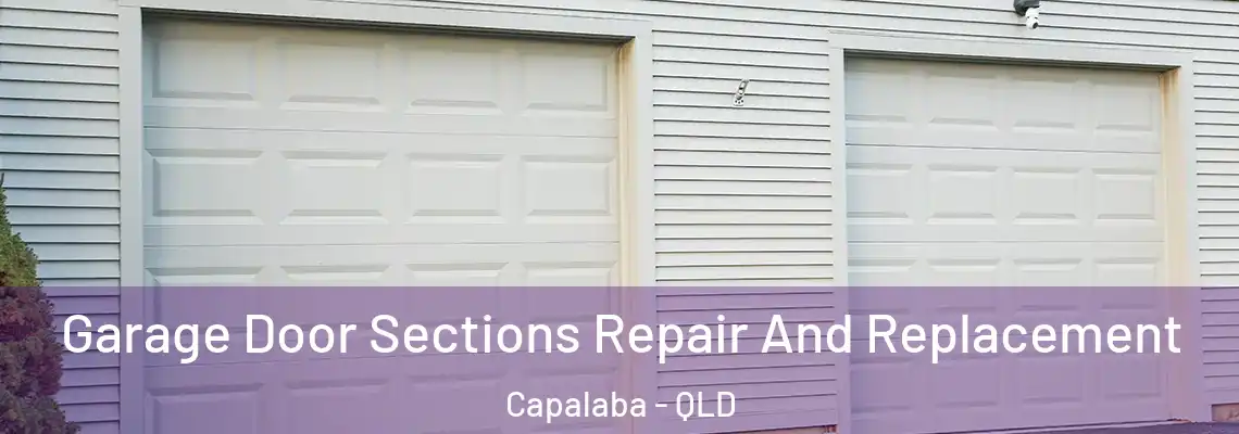 Garage Door Sections Repair And Replacement Capalaba - QLD