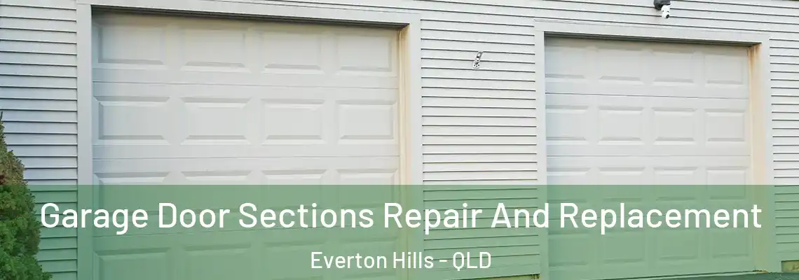 Garage Door Sections Repair And Replacement Everton Hills - QLD