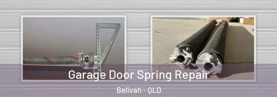  Garage Door Spring Repair Belivah - QLD