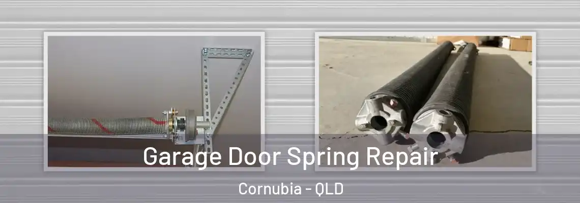 Garage Door Spring Repair Cornubia - QLD