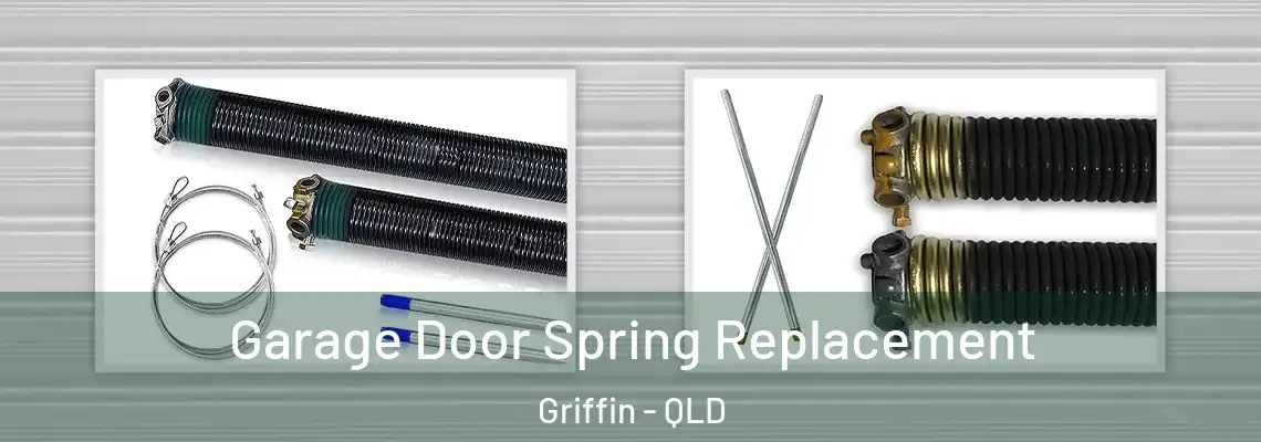 Garage Door Spring Replacement Griffin - QLD