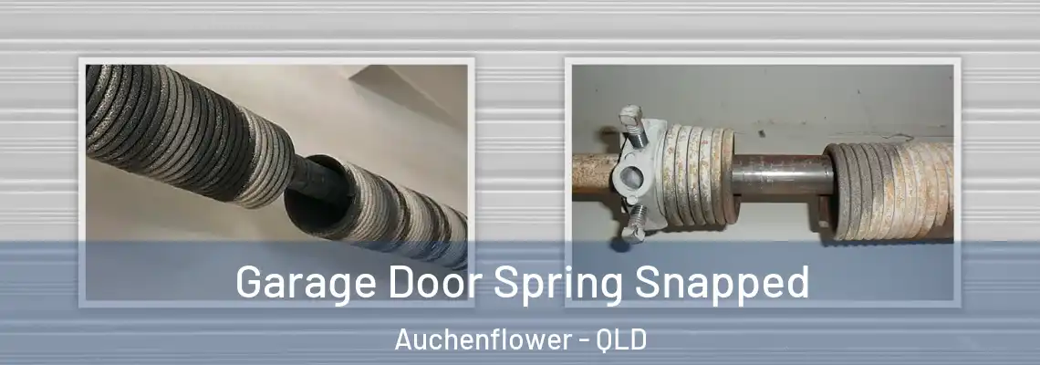  Garage Door Spring Snapped Auchenflower - QLD
