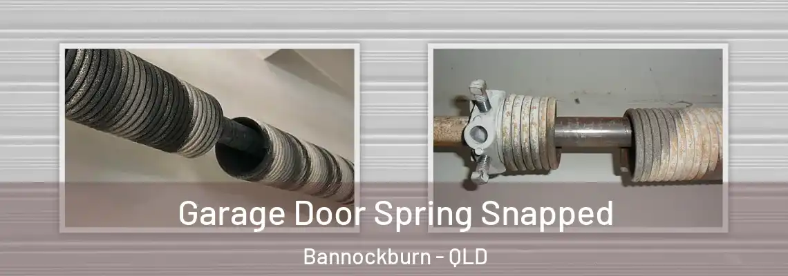 Garage Door Spring Snapped Bannockburn - QLD