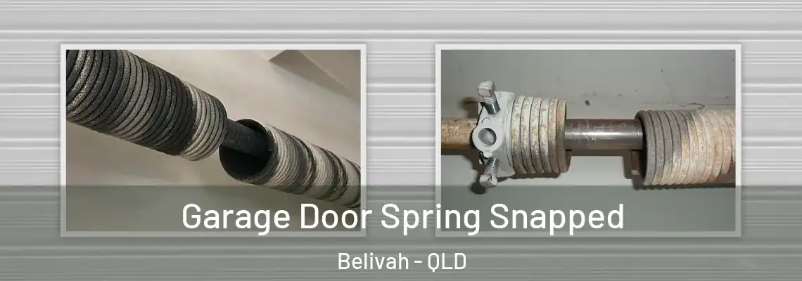  Garage Door Spring Snapped Belivah - QLD