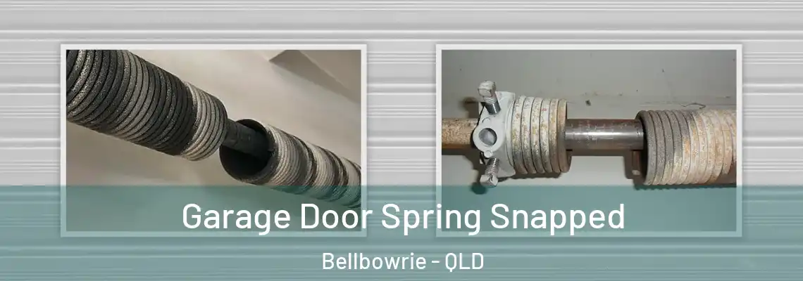 Garage Door Spring Snapped Bellbowrie - QLD
