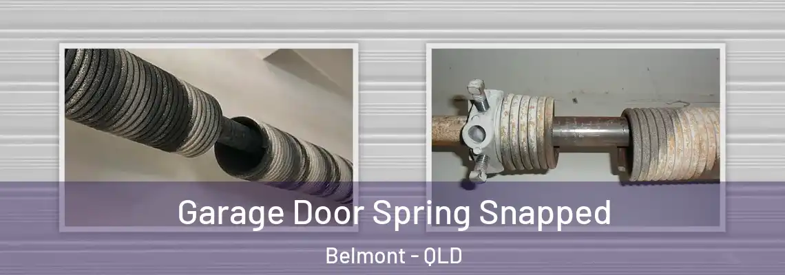  Garage Door Spring Snapped Belmont - QLD